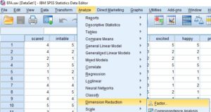 EFA Step by step approach