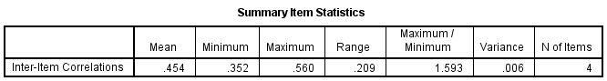 Summary Item statistics in SPSS Output